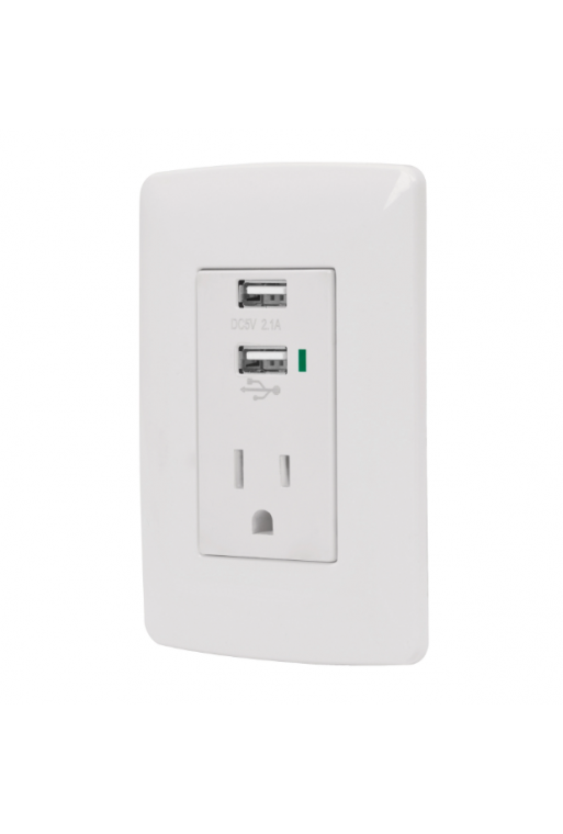 COUSB-IB Placa Contacto Aterrizado y 2 Puertos USB