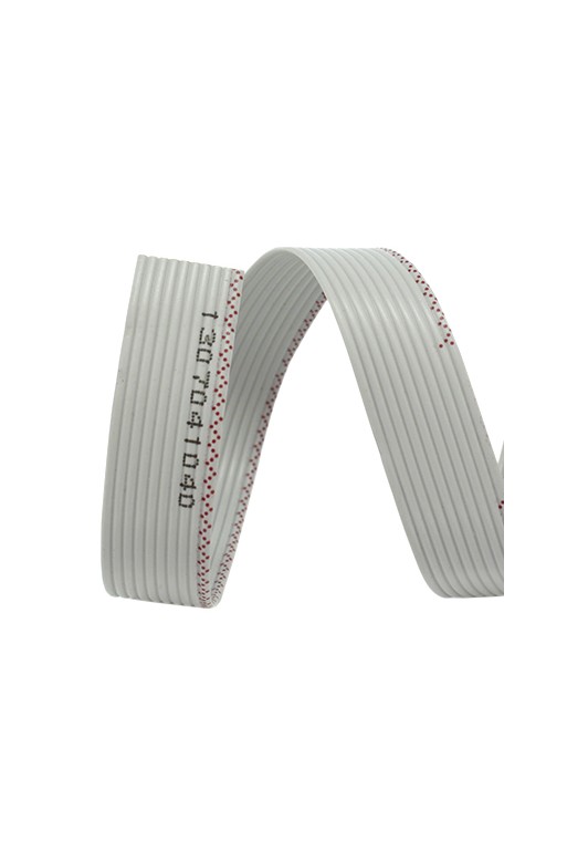 CAPL-10 Cable Plano de 10 Vías