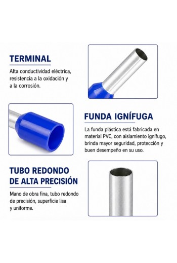  con Caja Organizadora